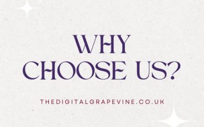 Why Choose us as your website designer?