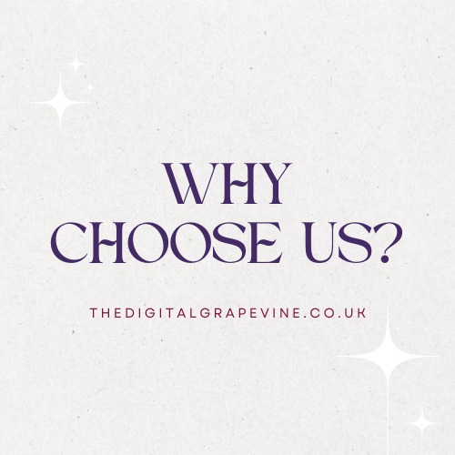 Why Choose us as your website designer?